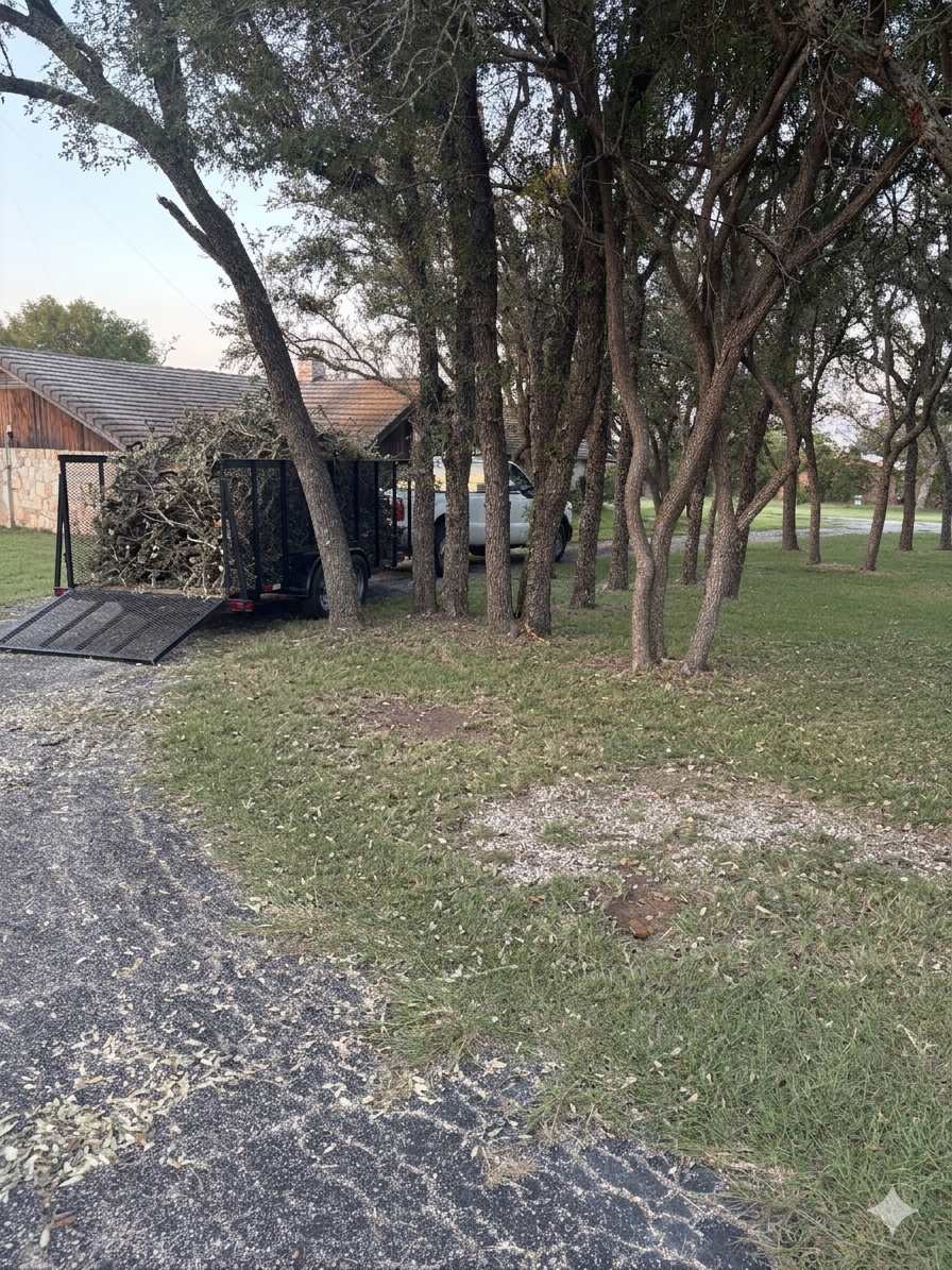 After: yard cleared and debris removed Seattle